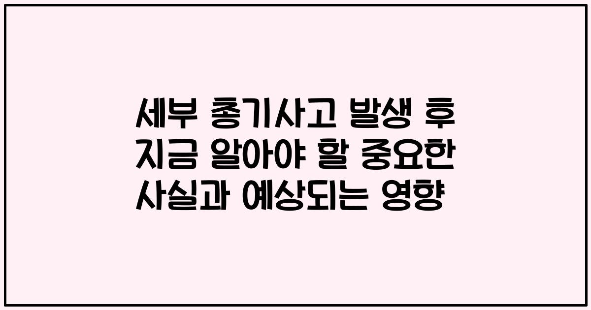 세부 총기사고 발생 후 지금 알아야 할 중요한 사실과 예상되는 영향